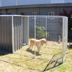 Dog Pen / Run