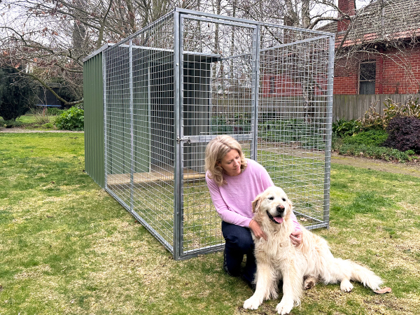 Dog pen training best sale